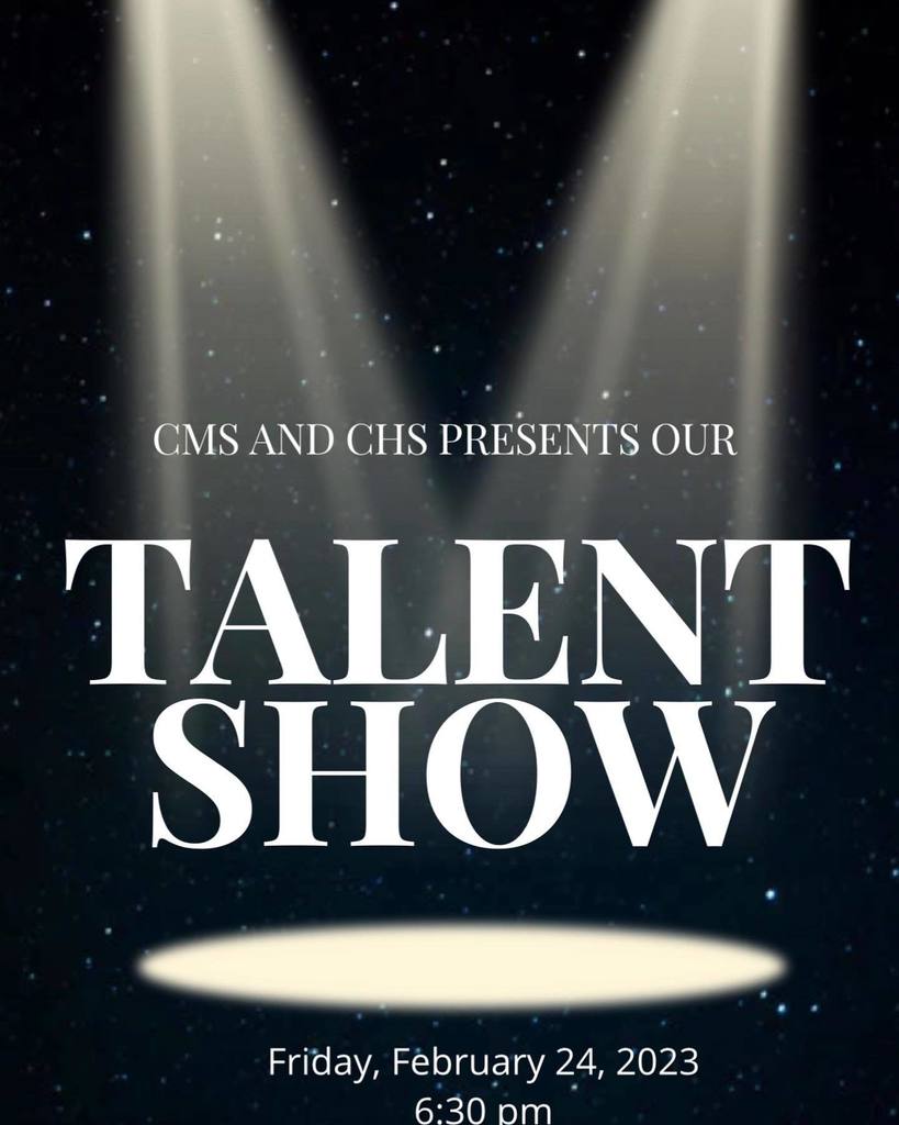 Talent show poster